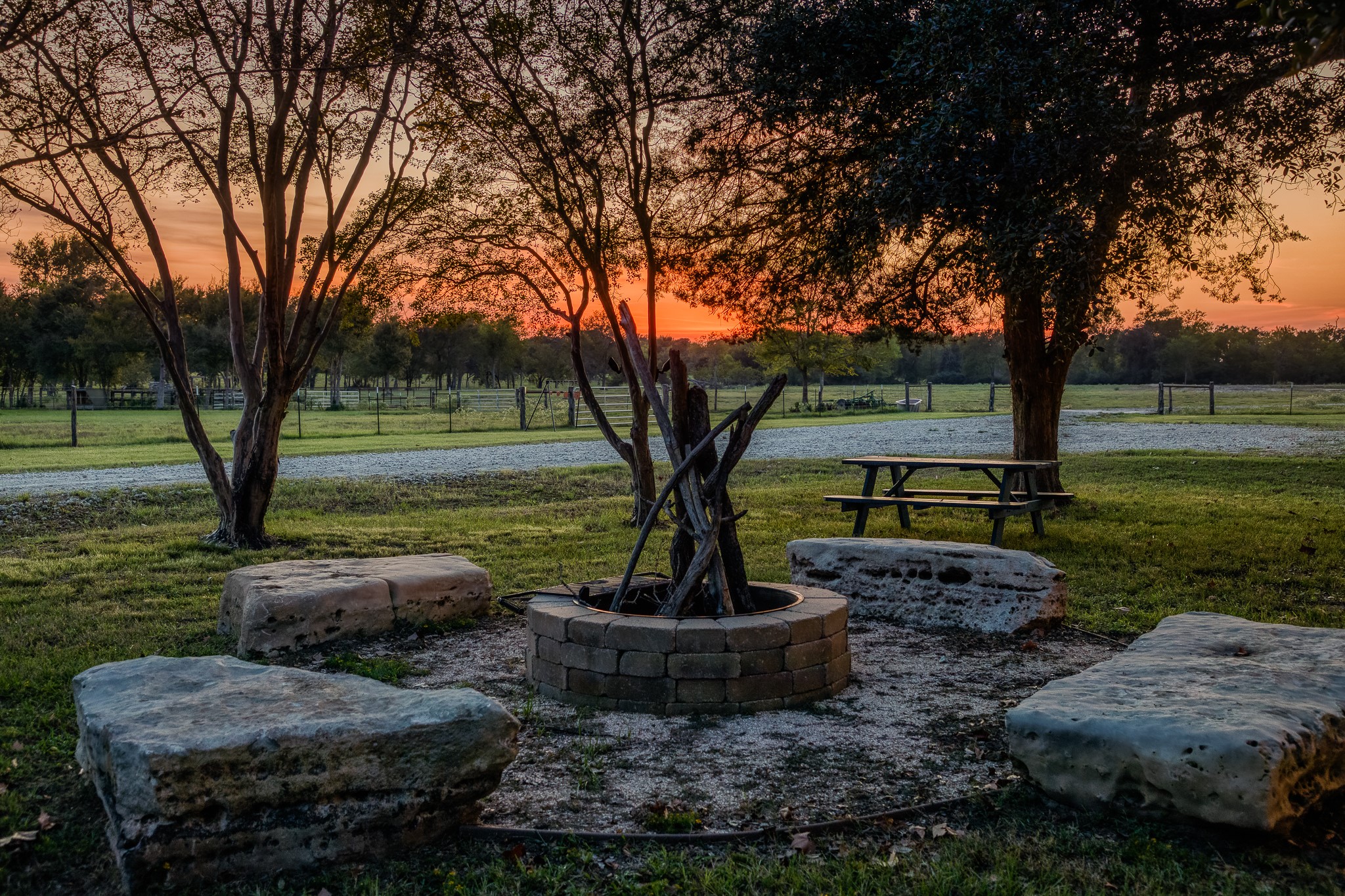 5344 Andert Road Bryan, TX 77808 - Photo 43 of 50 a view of a garden with tree s