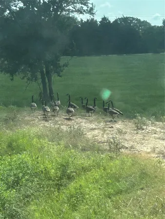 a view of an outdoor space with a lake view