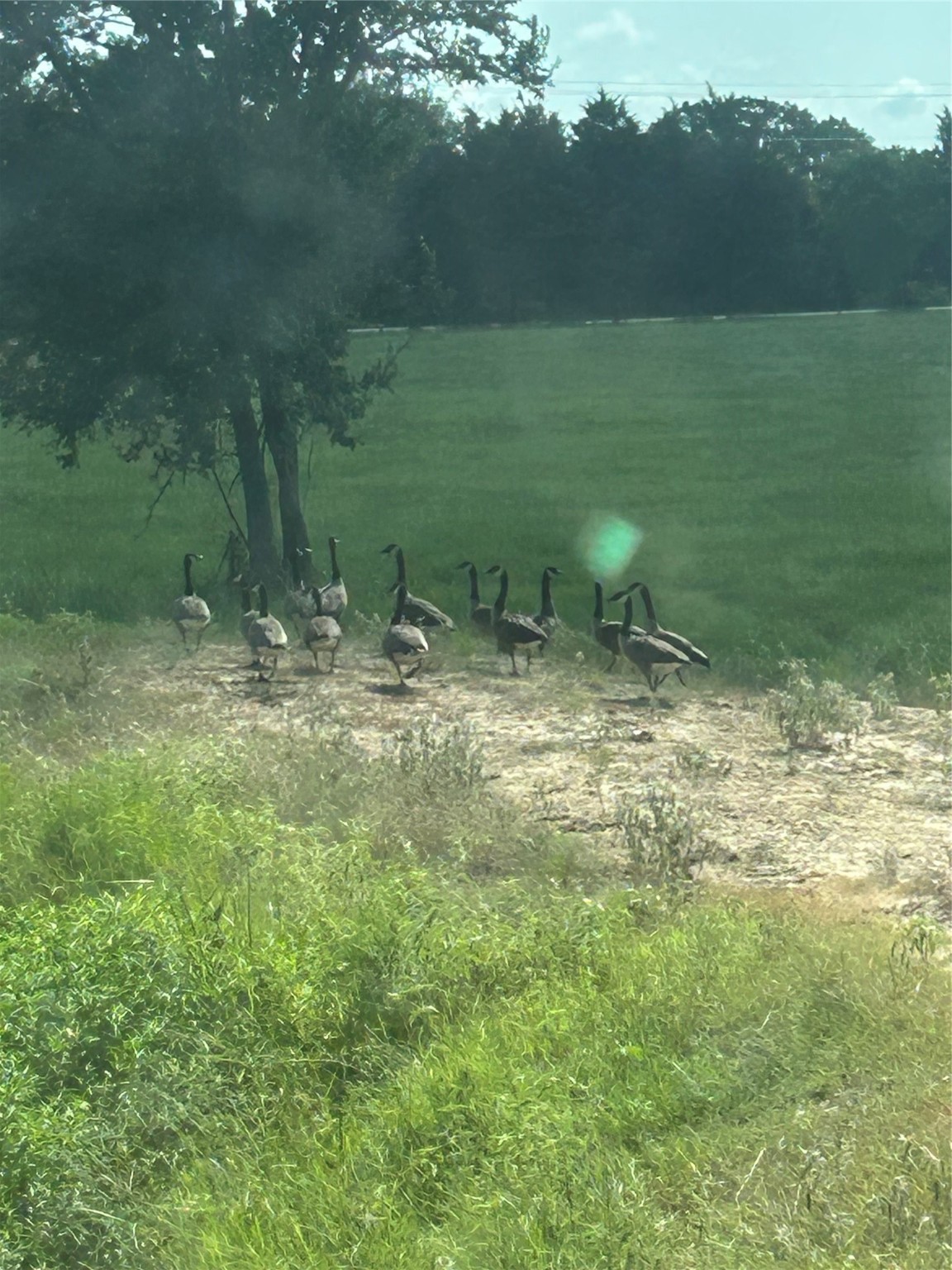 5344 Andert Road Bryan, TX 77808 - Photo 47 of 50 a view of an outdoor space with a lake view