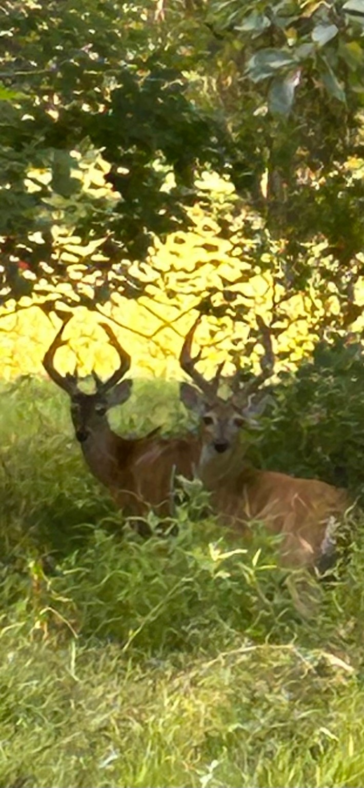 5344 Andert Road Bryan, TX 77808 - Photo 49 of 50 a view of an ocean