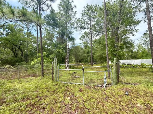 $8,000 | Tbd Northeast 3rd Place, Williston, FL 32696