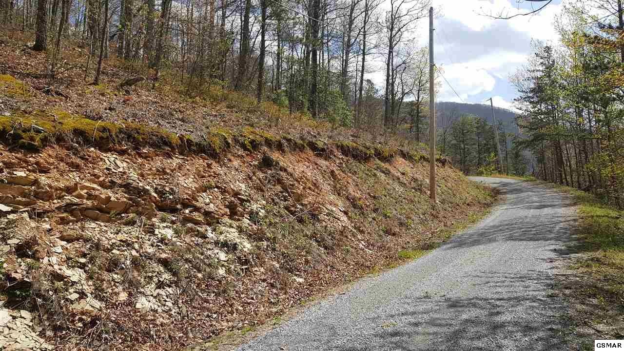21 Cove Mountain Road Sevierville, TN 37862 - Photo 5 of 21 Gallery Image 5