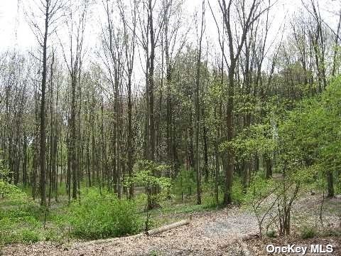 Lot Unit 32 Lattingtown Rd  