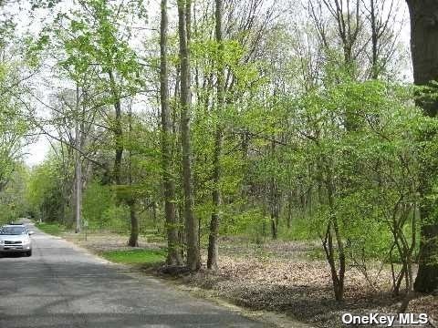 Lot #32 Lattingtown Road Locust Valley, NY 11560 - Photo 2 of 6
