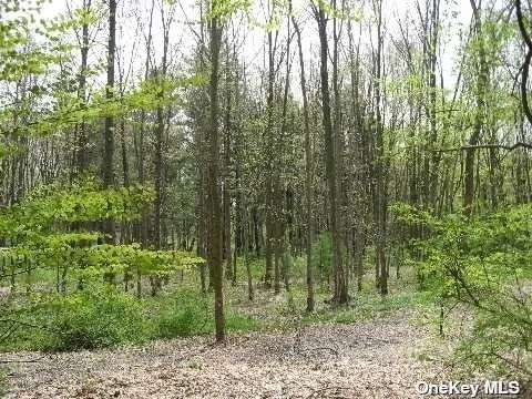 $1,150,000 | Lot #32 Lattingtown Road, Locust Valley, NY 11560