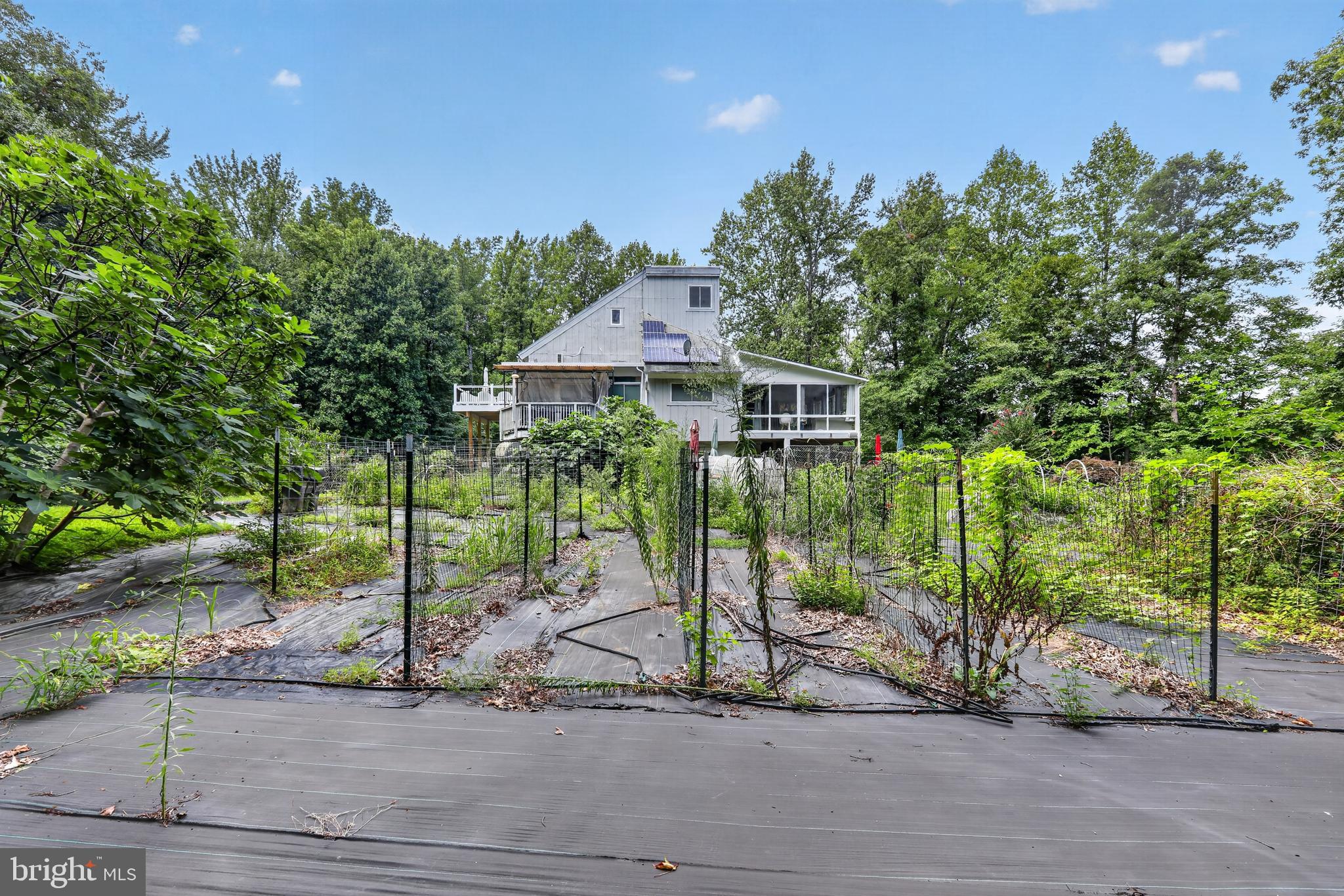 51 Jewell Road Dunkirk, MD 20754 - Photo 18 of 20 Gallery Image 18