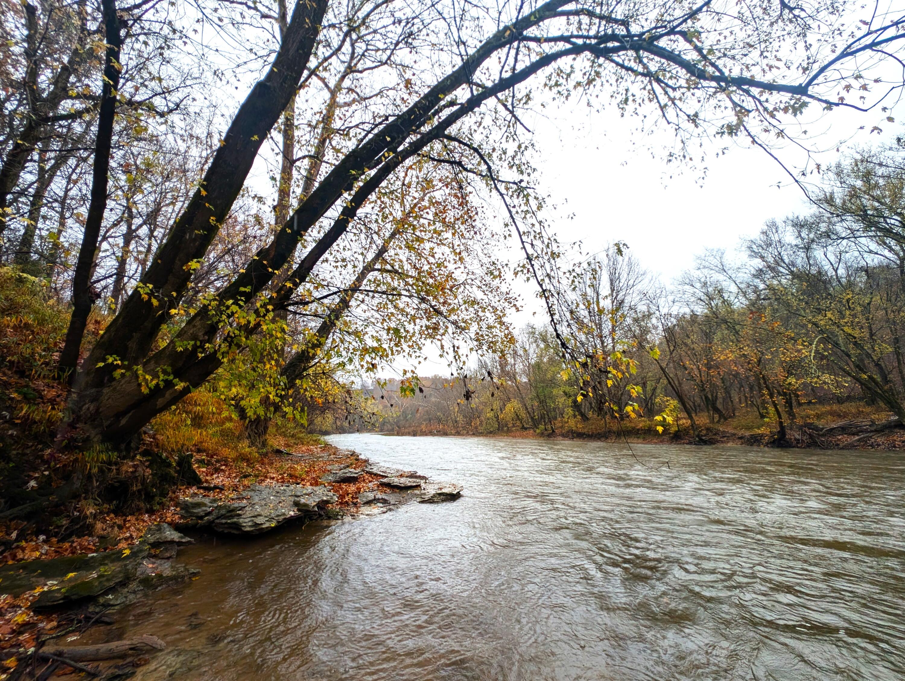 1714 Harding Road Mount Olivet, KY 41064 - Photo 1 of 21 River