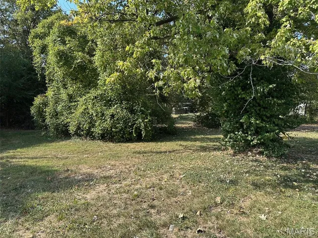 $25,000 | 0 South Douglas Avenue, Belleville, IL 62220