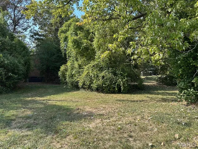 $25,000 | 0 South Douglas Avenue, Belleville, IL 62220