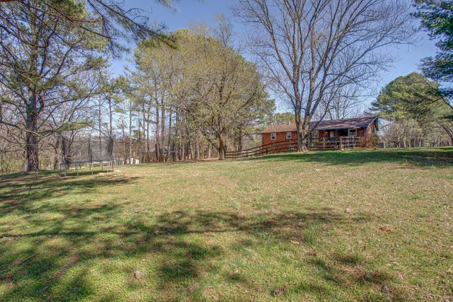 a view of a yard with a large trees