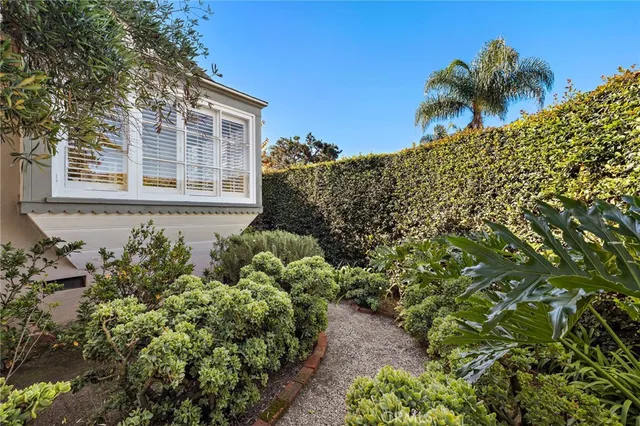 a plant that is in front of a house