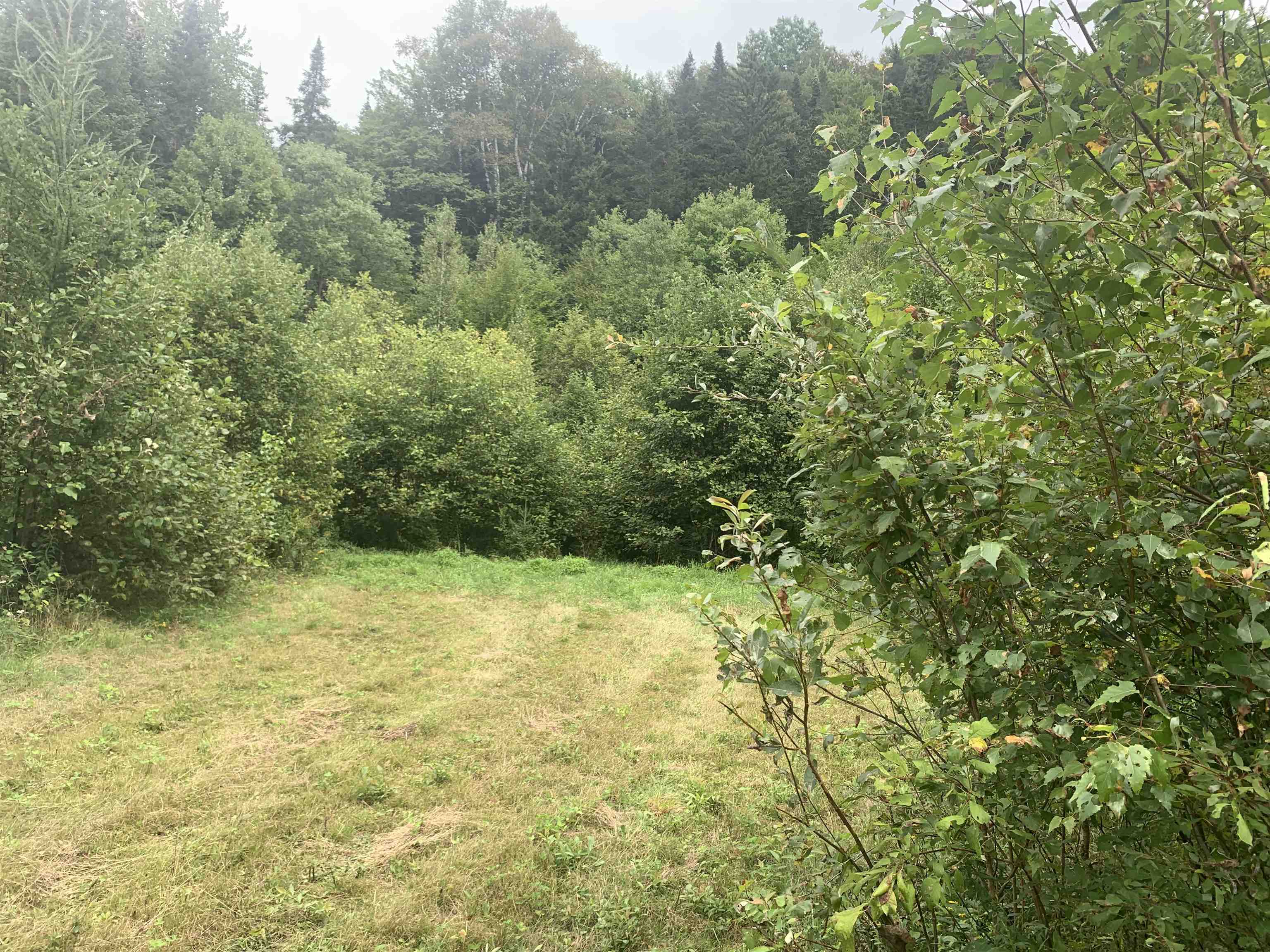 Lot 4 Silver Maple Road Colebrook, NH 03576 - Photo 4 of 10