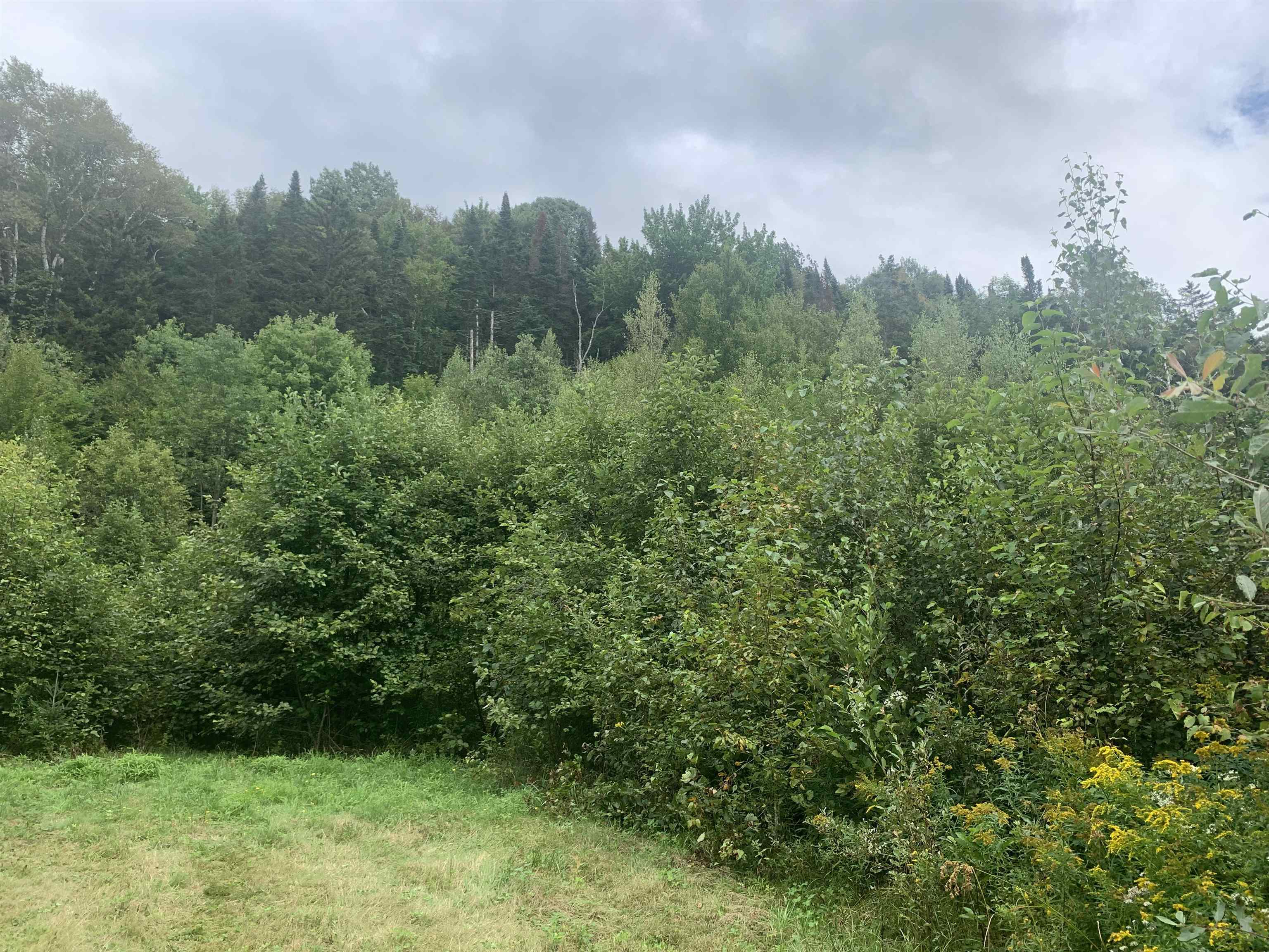 Lot 4 Silver Maple Road Colebrook, NH 03576 - Photo 5 of 10