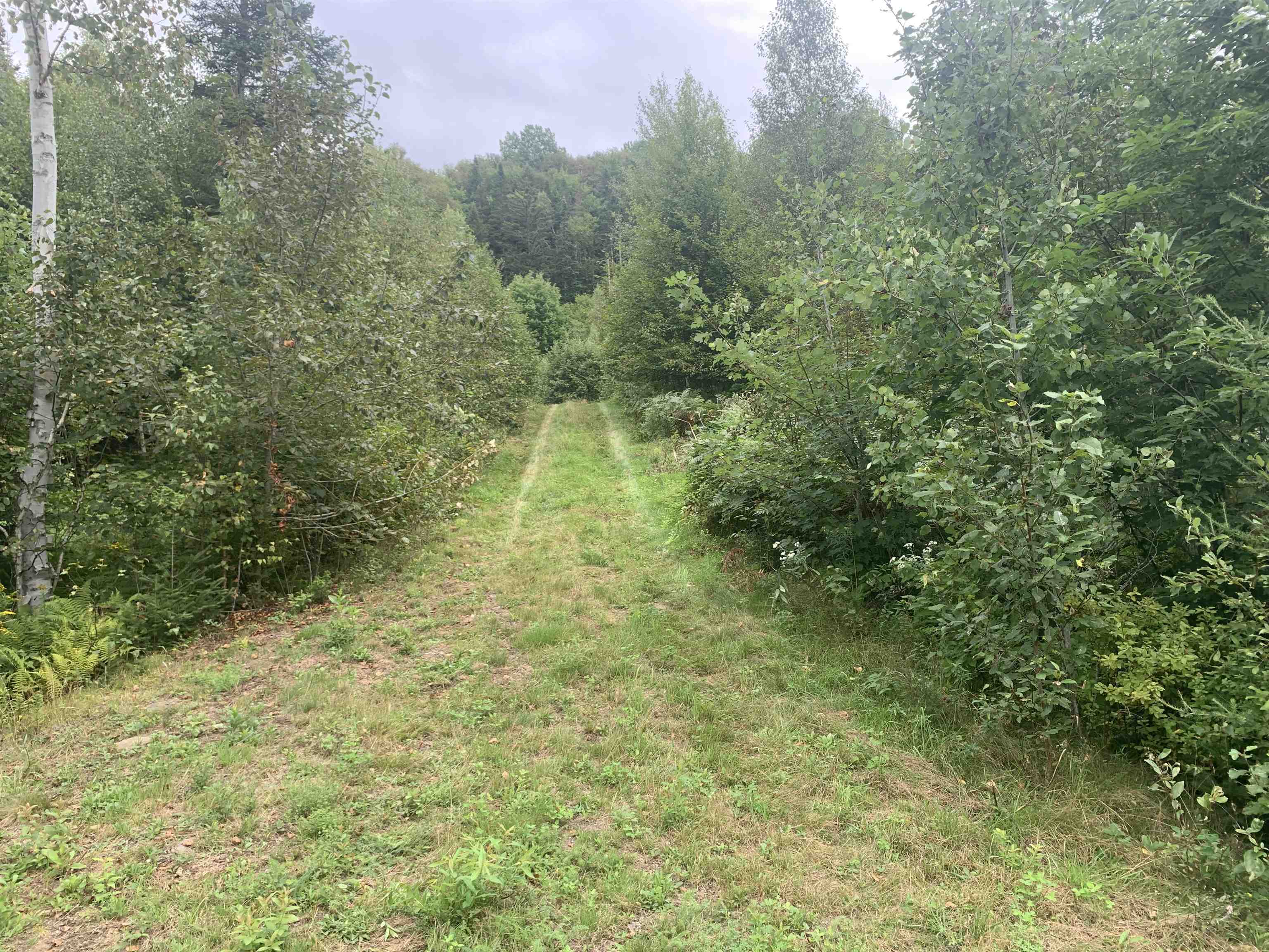 Lot 4 Silver Maple Road Colebrook, NH 03576 - Photo 6 of 10