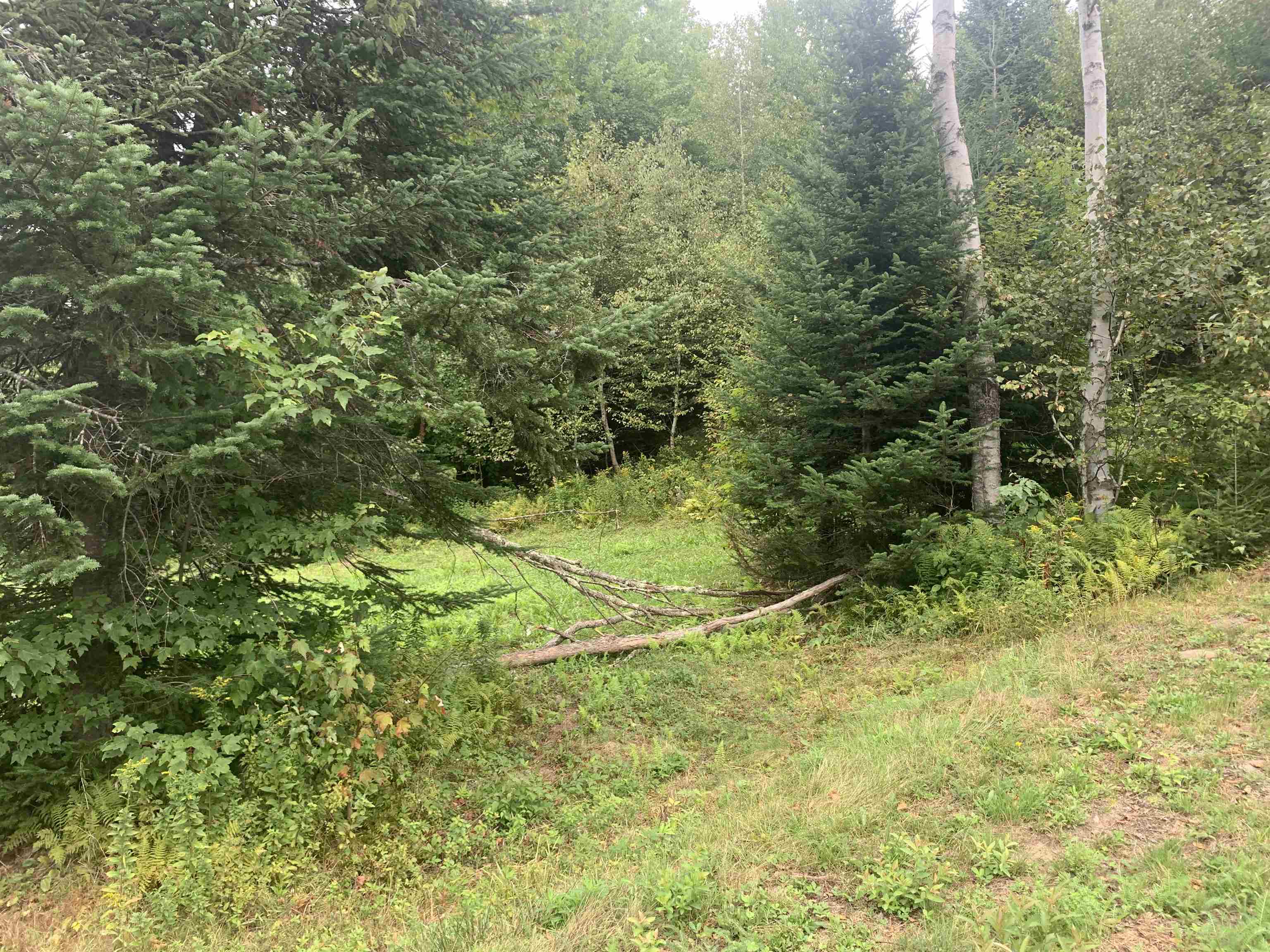 Lot 4 Silver Maple Road Colebrook, NH 03576 - Photo 7 of 10