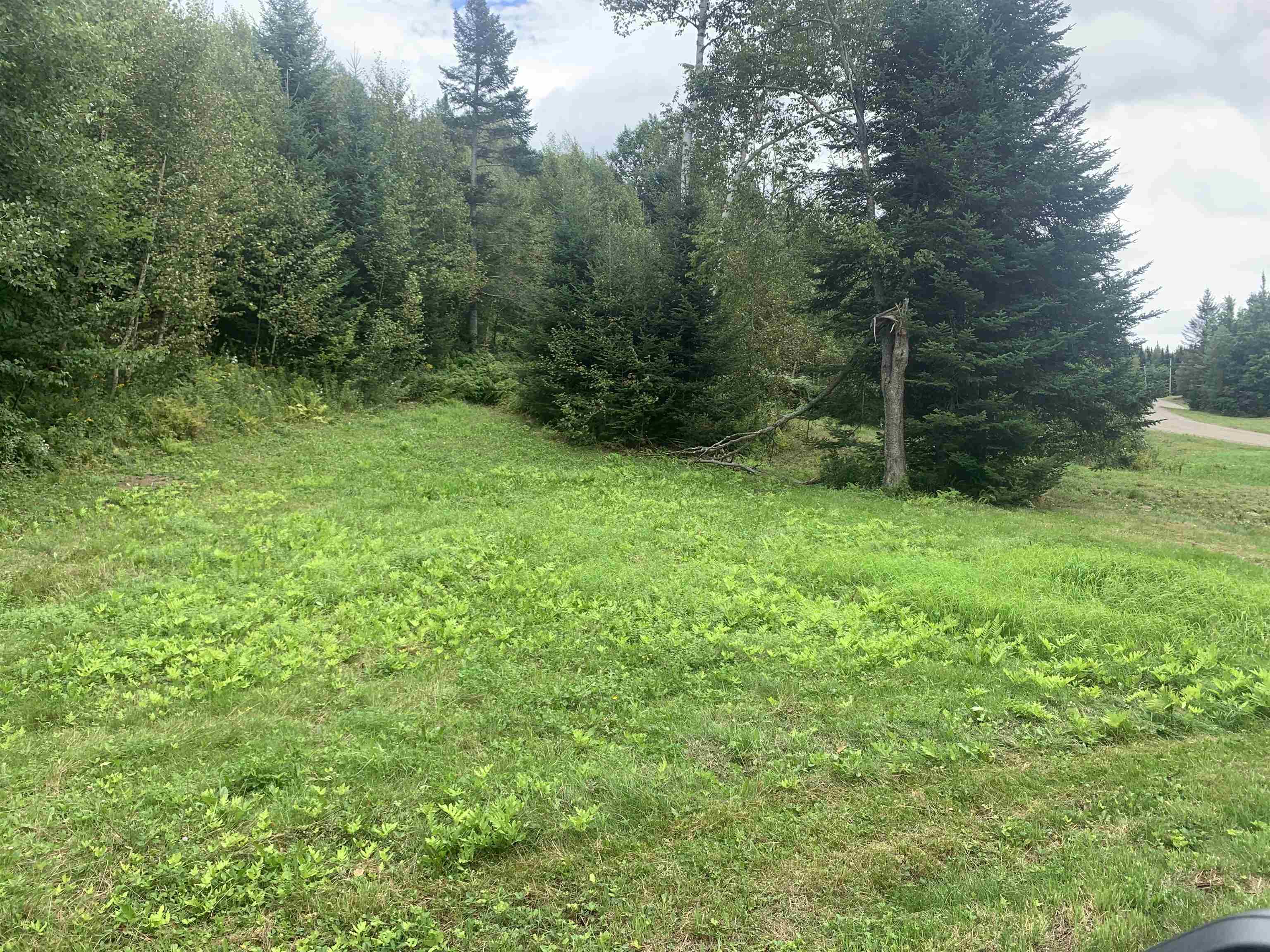 Lot 4 Silver Maple Road Colebrook, NH 03576 - Photo 9 of 10