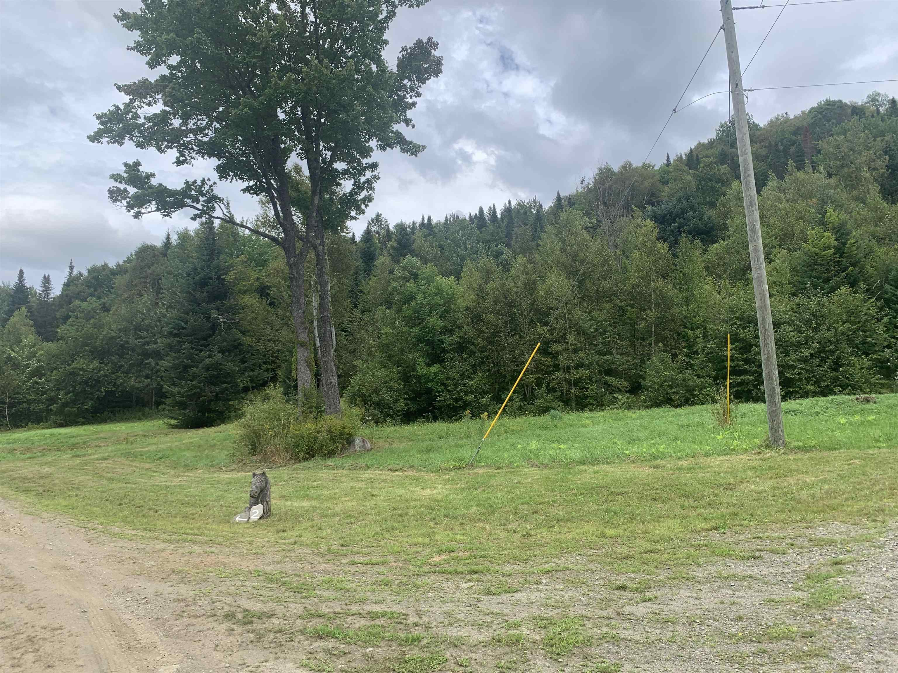 Lot 4 Silver Maple Road Colebrook, NH 03576 - Photo 10 of 10