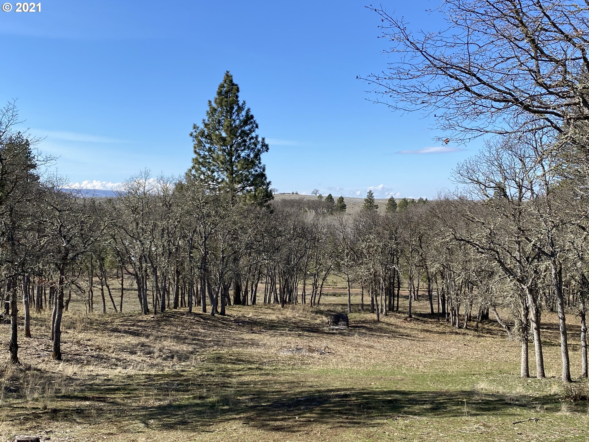 866 Saxton Bane Road Goldendale, WA 98620 - Photo 13 of 31 Gallery Image 13