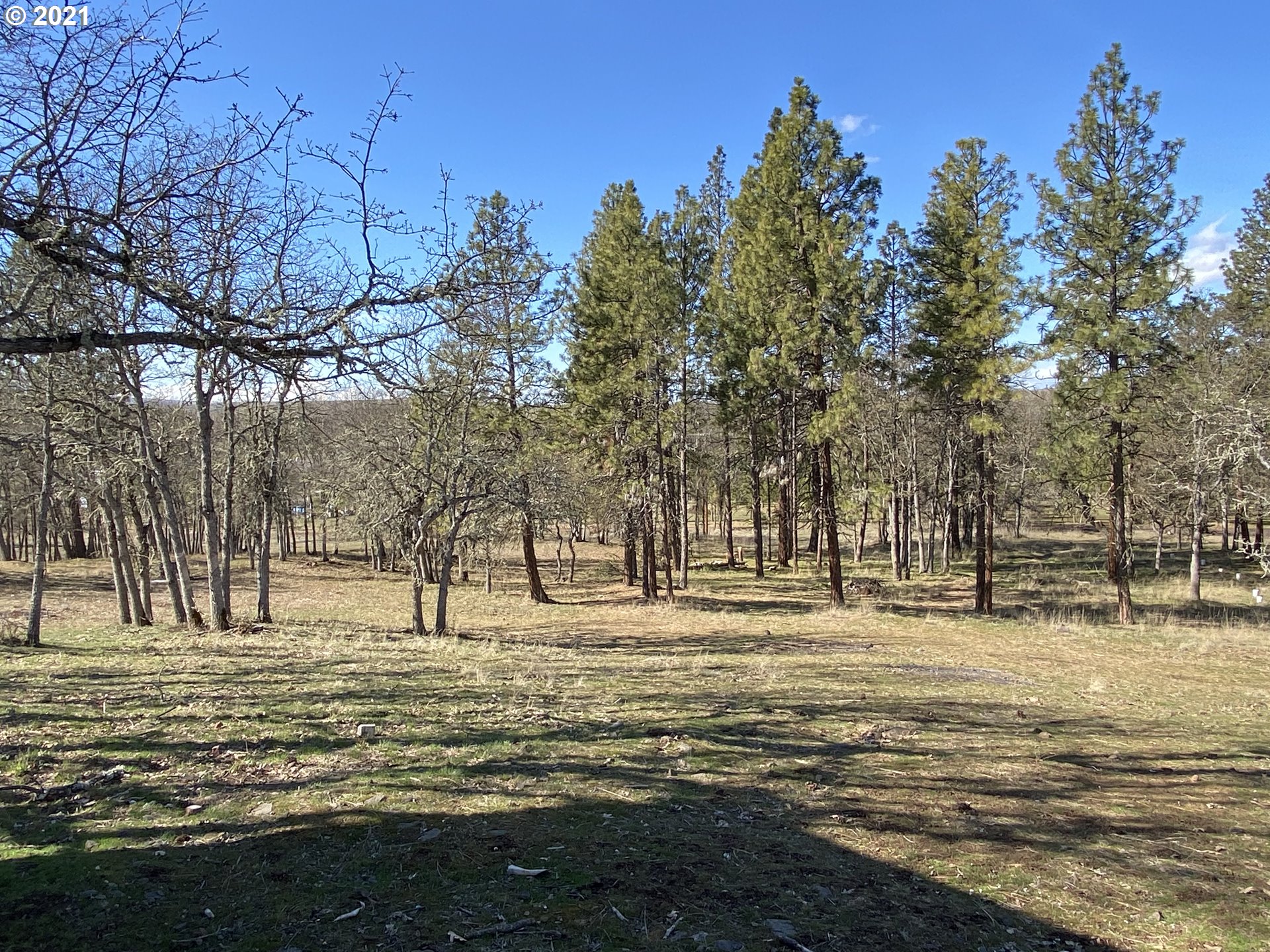 866 Saxton Bane Road Goldendale, WA 98620 - Photo 14 of 31 Gallery Image 14