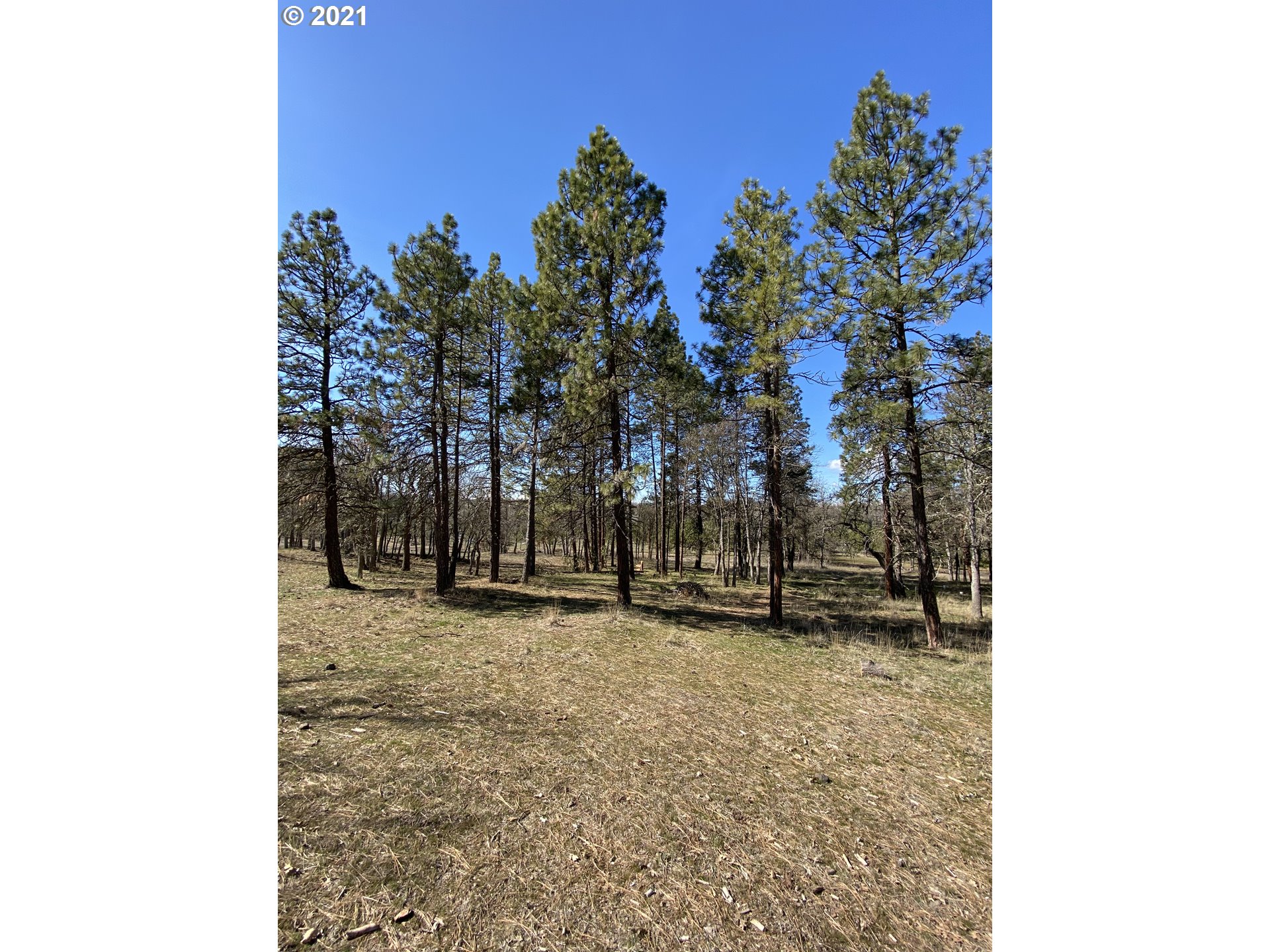 866 Saxton Bane Road Goldendale, WA 98620 - Photo 16 of 31 Gallery Image 16