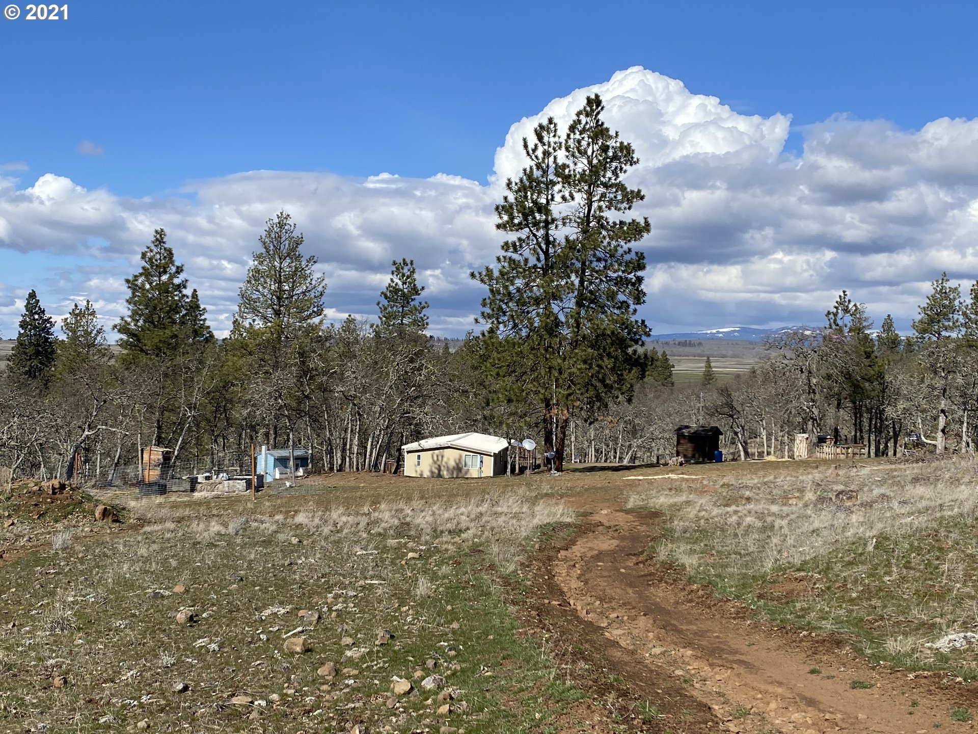 866 Saxton Bane Road Goldendale, WA 98620 - Photo 20 of 31 Gallery Image 20