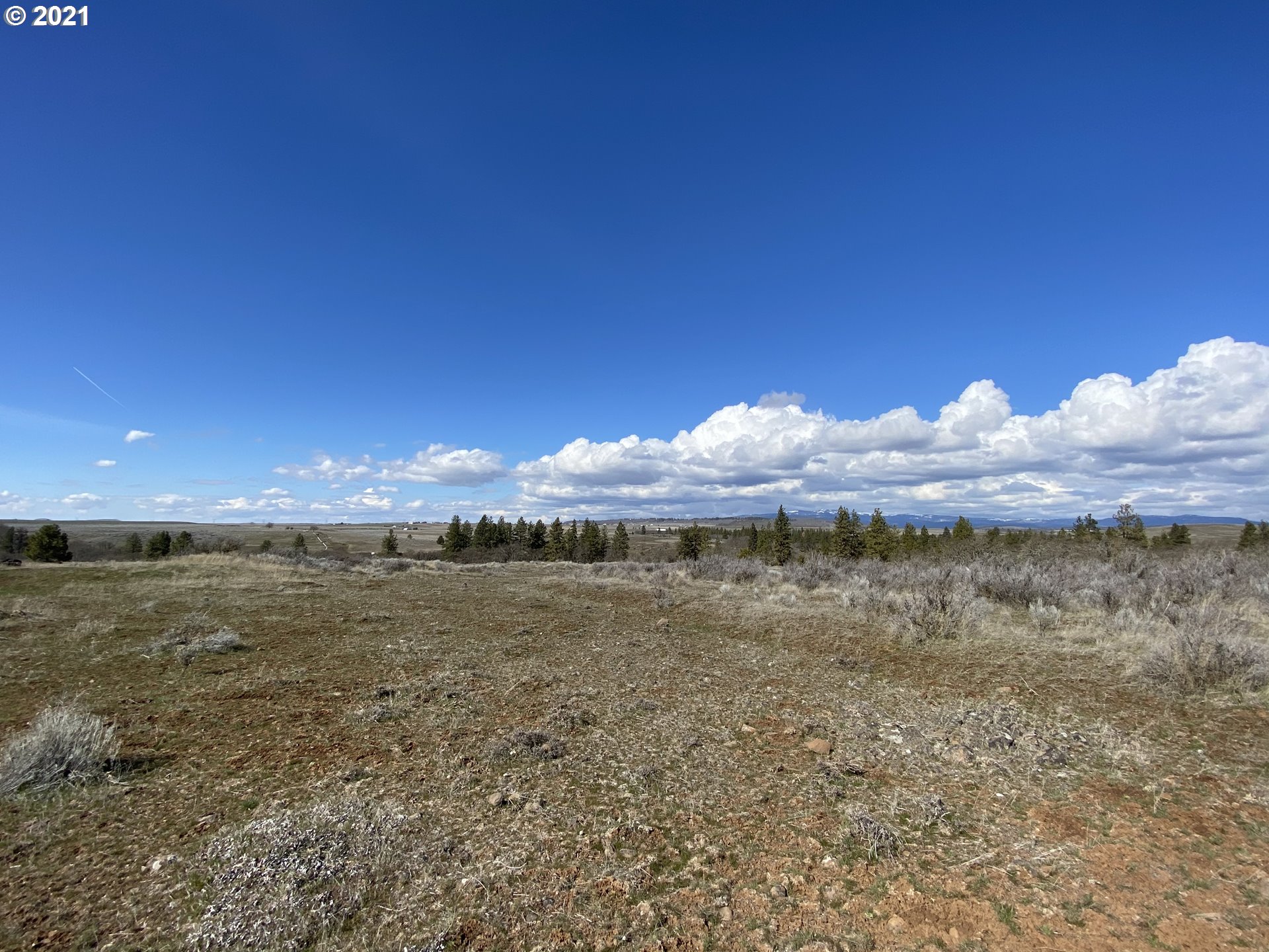 866 Saxton Bane Road Goldendale, WA 98620 - Photo 22 of 31 Gallery Image 22