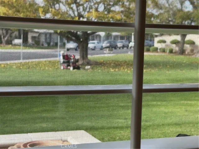 a view of a lake from a window