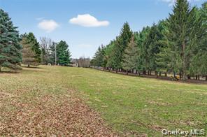 251 Prospect Road Monroe, NY 10950 - Photo 12 of 12