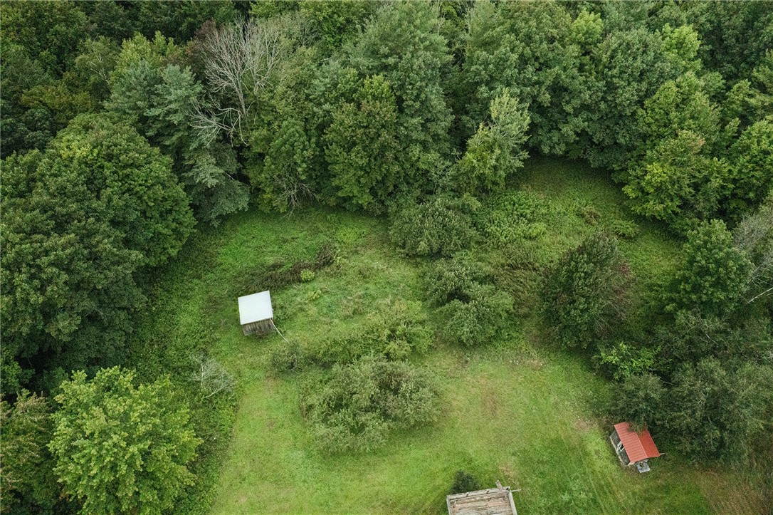 355 Posson Hill Road Middleburgh, NY 12122 - Photo 2 of 15 Gallery Image 2
