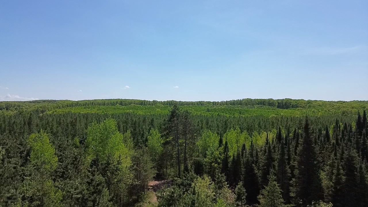 349 X 5th Avenue Shell Lake, WI 54871 - Photo 7 of 37