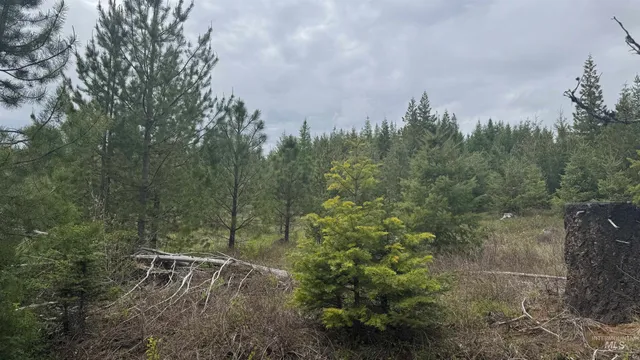 $219,500 | 8 Bandmill Heights, Orofino, ID 83544