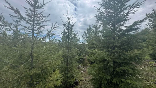 $219,500 | 8 Bandmill Heights, Orofino, ID 83544