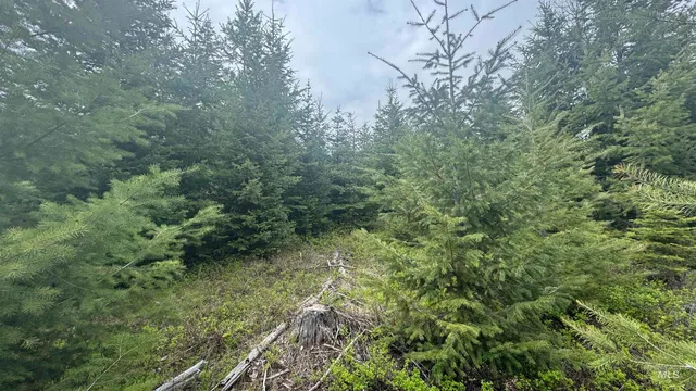 $219,500 | 8 Bandmill Heights, Orofino, ID 83544