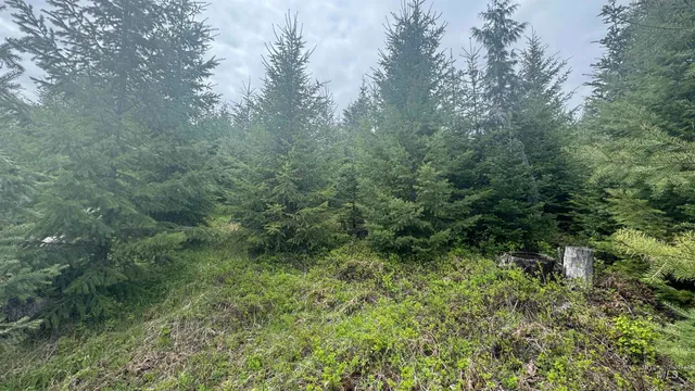 $219,500 | 8 Bandmill Heights, Orofino, ID 83544