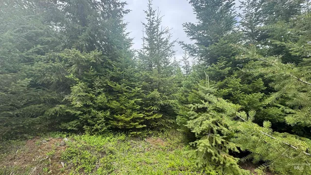 $219,500 | 8 Bandmill Heights, Orofino, ID 83544