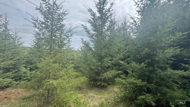 $219,500 | 8 Bandmill Heights, Orofino, ID 83544