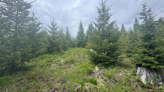 $219,500 | 8 Bandmill Heights, Orofino, ID 83544