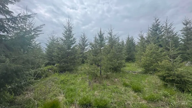 $219,500 | 8 Bandmill Heights, Orofino, ID 83544