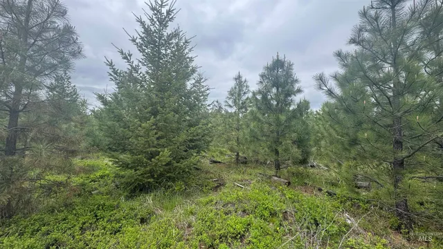 $219,500 | 8 Bandmill Heights, Orofino, ID 83544