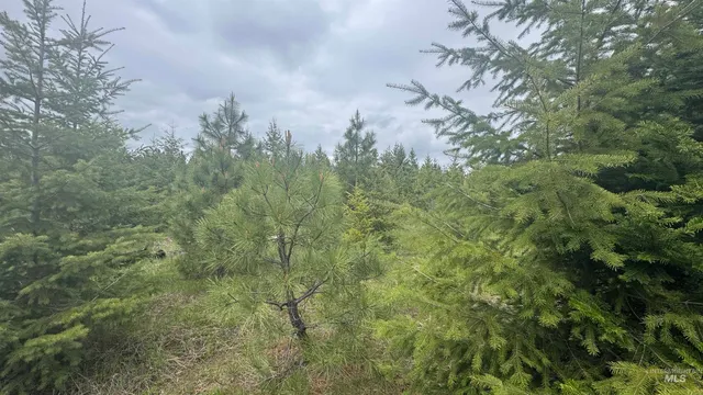 $219,500 | 8 Bandmill Heights, Orofino, ID 83544