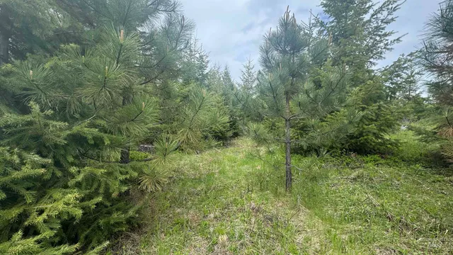 $219,500 | 8 Bandmill Heights, Orofino, ID 83544