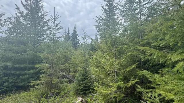 $219,500 | 8 Bandmill Heights, Orofino, ID 83544