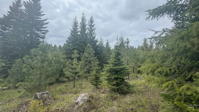 $219,500 | 8 Bandmill Heights, Orofino, ID 83544