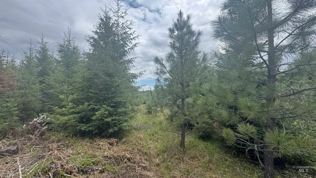 $219,500 | 8 Bandmill Heights, Orofino, ID 83544