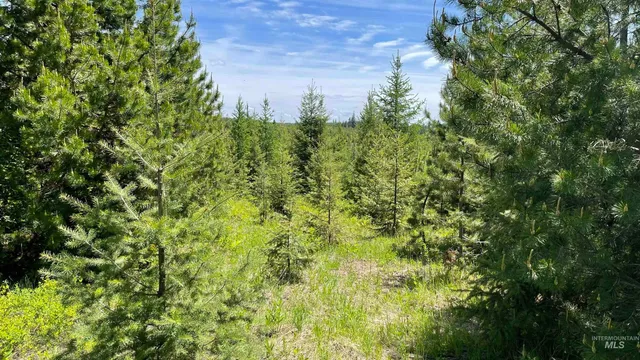 $219,500 | 8 Bandmill Heights, Orofino, ID 83544