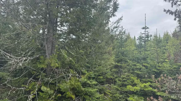 $219,500 | 8 Bandmill Heights, Orofino, ID 83544