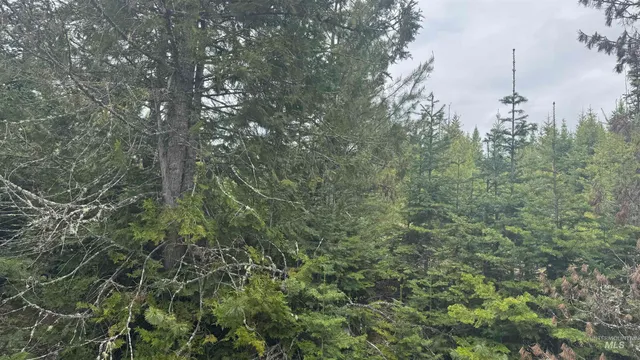 $219,500 | 8 Bandmill Heights, Orofino, ID 83544