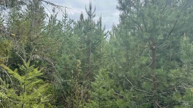 $219,500 | 8 Bandmill Heights, Orofino, ID 83544