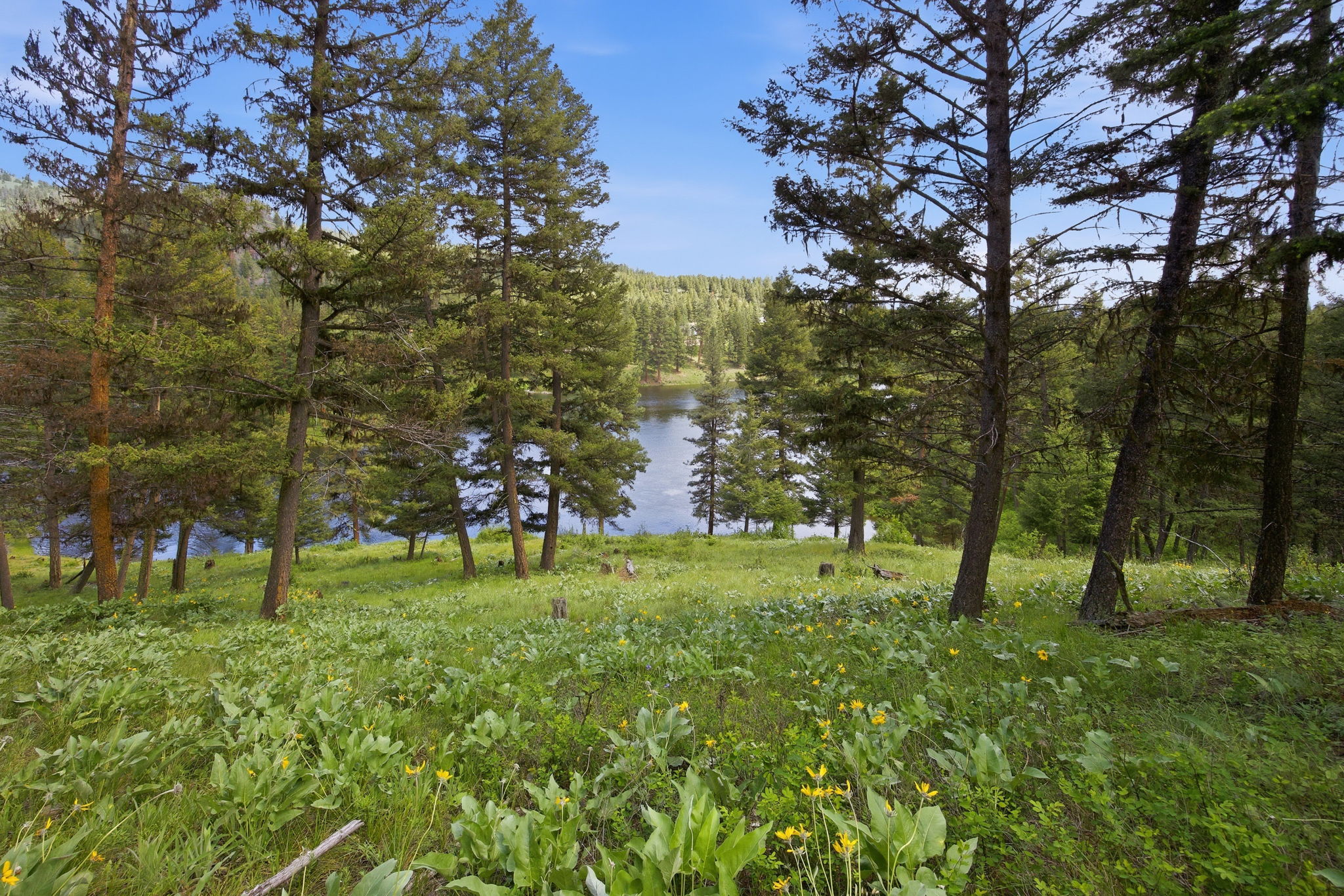 3 Big Waters Ranch Road Seeley Lake, MT 59868 - Photo 30 of 49 Gallery Image 30