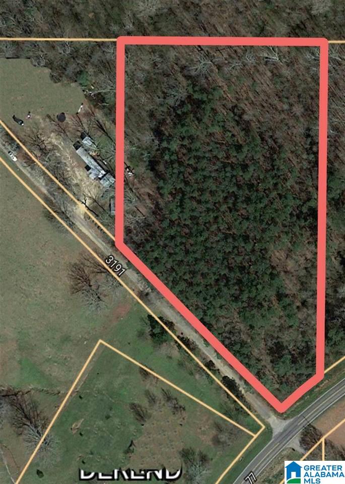0 Helicon Road Arley, AL 35541 - Photo 1 of 6